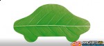 automotive-industry-urged-to-invest-in-green-and-clean-technologies